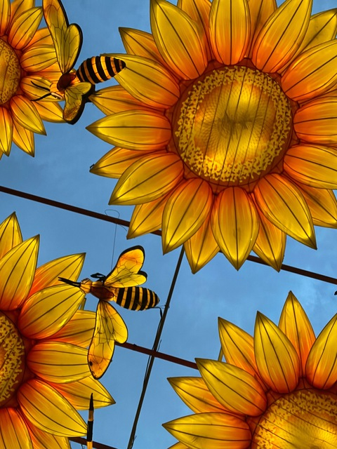 Video leaks thickshorty0