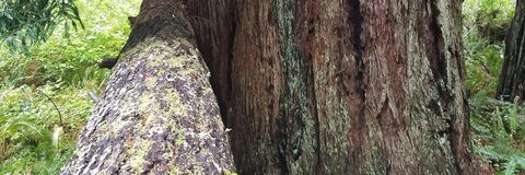 Video leaks thighguys