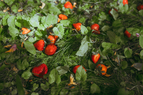 Video leaks thotberryshortcake