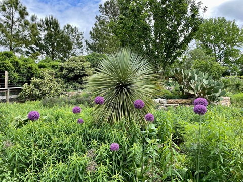 Video leaks tilly.babe.331