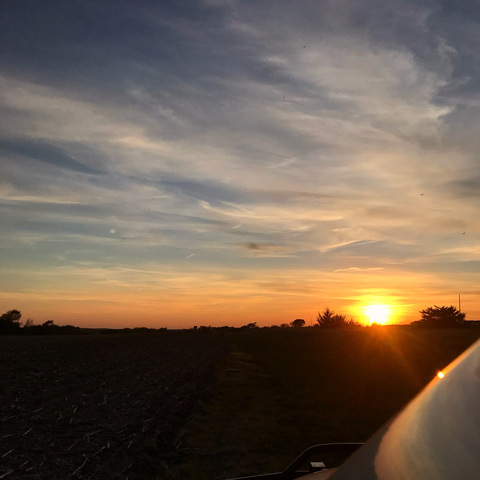 Video leaks tilly929