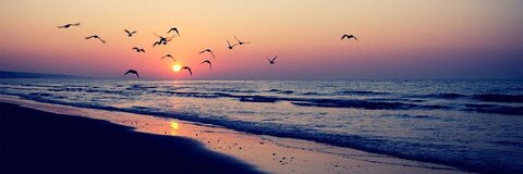 Video leaks tingtingms