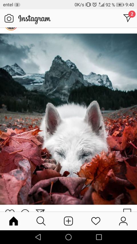 Video leaks tinnni123