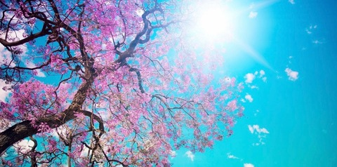 Video leaks tiny_babygirl01