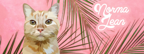 Video leaks titties_for_kitties