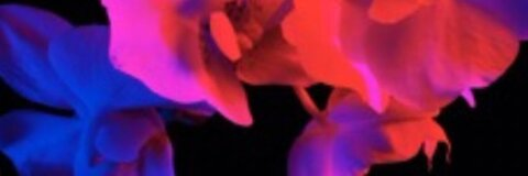 Video leaks tizzytayy
