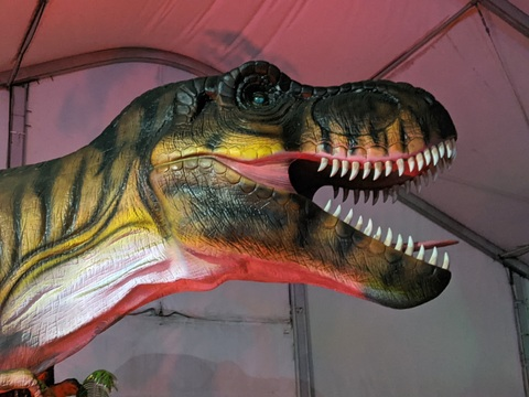 Video leaks tjeezy85