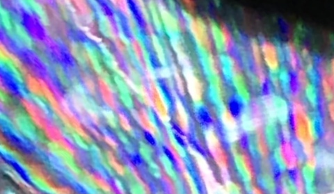 Video leaks tobelerone