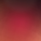 Onlyfans leaked toptiertoes 

 profile picture