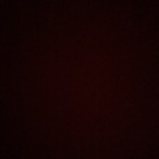 toy_free Profile Picture