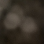 tparks OnlyFans Leaked 

 profile picture