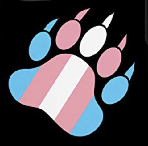 Video leaks transtripp