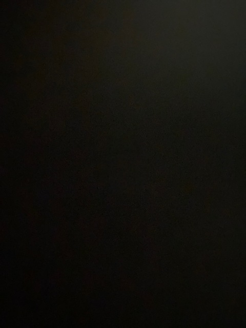 Video leaks tri_s