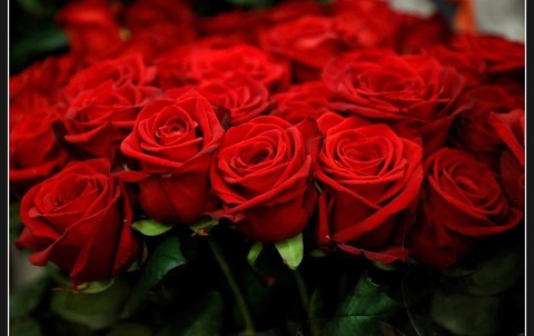 Video leaks truckerbeautyrose