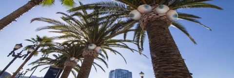 Video leaks ttcitytv