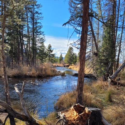 Video leaks ttiffers