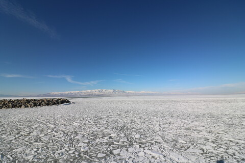 Video leaks ty_love22