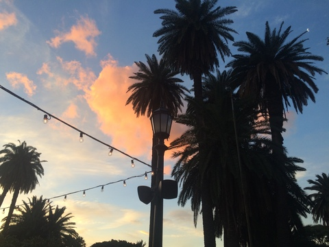 Video leaks tykkasavvybaby