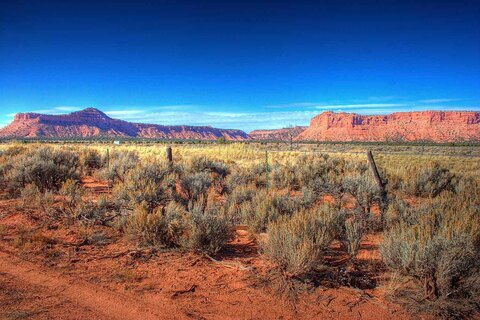 Video leaks tythetiger0