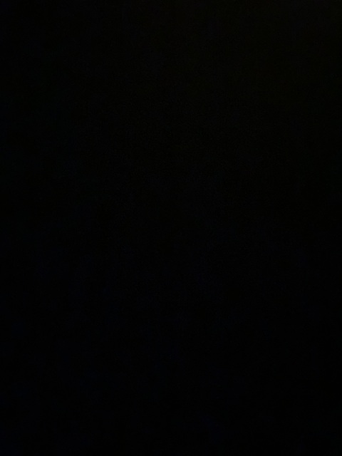 Video leaks u102465294