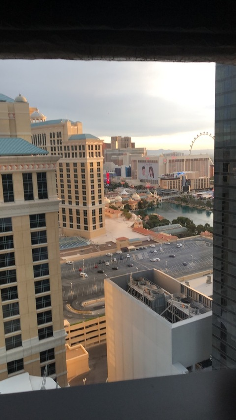 Video leaks u10833756