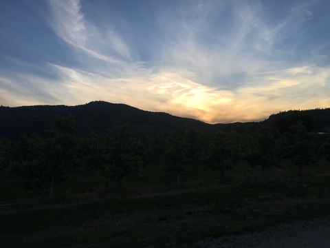 Video leaks u110121791