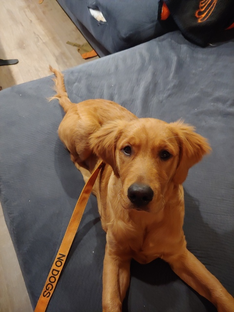 Video leaks u111312625