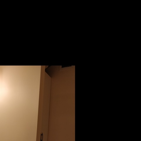 Video leaks u1230461