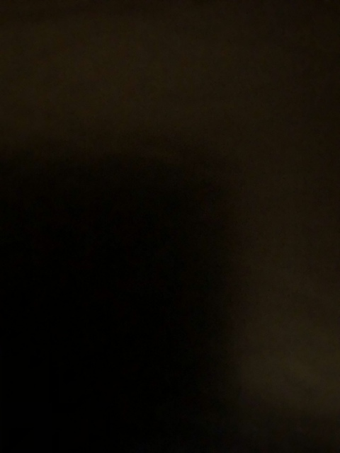 Video leaks u124247714