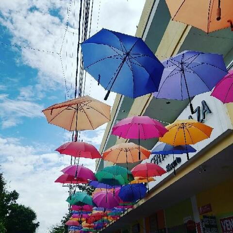 Video leaks u126417752