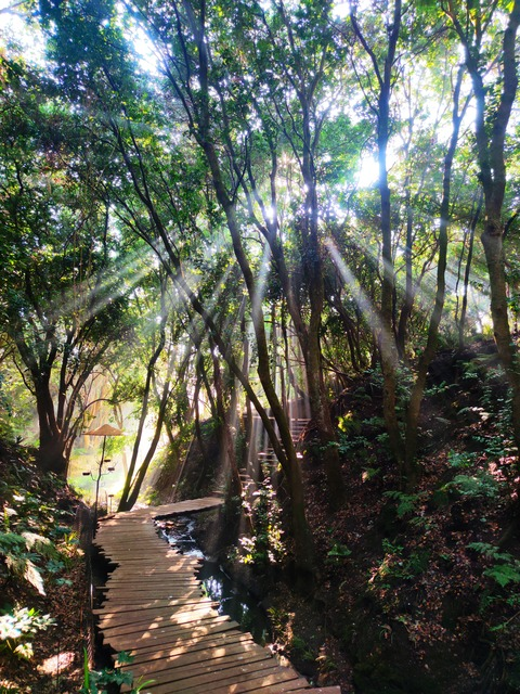 Video leaks u132700151