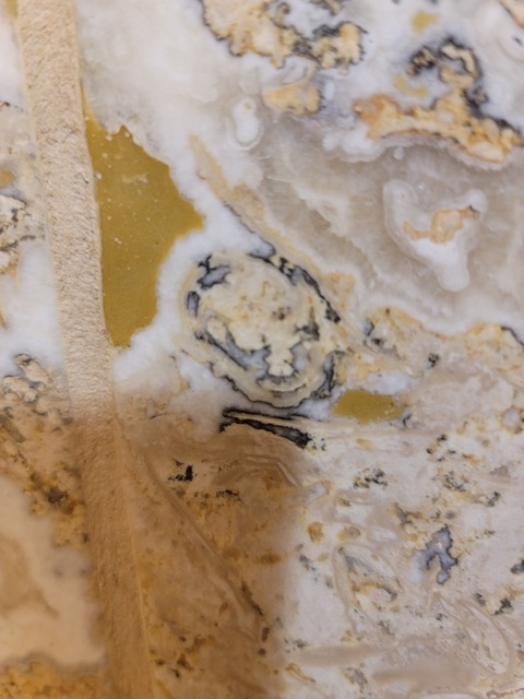 Video leaks u13670137