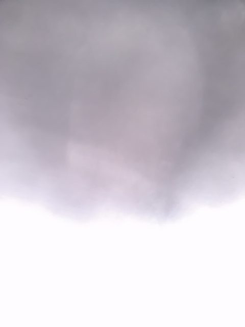 Video leaks u142973509