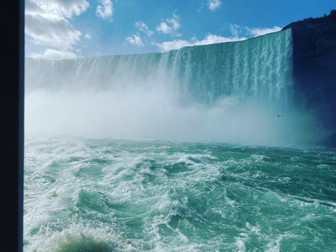 Video leaks u14621060