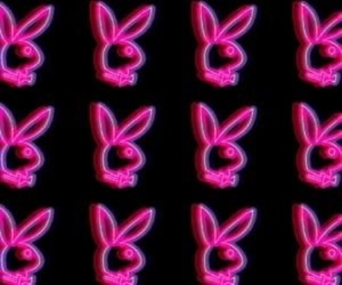 Video leaks u14854141