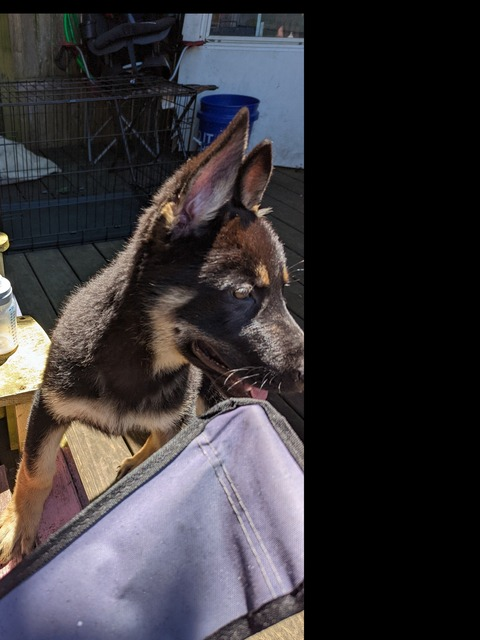 Video leaks u150540521