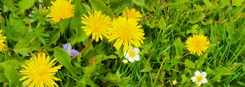 Video leaks u165242543