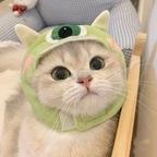 u186752268 Profile Picture