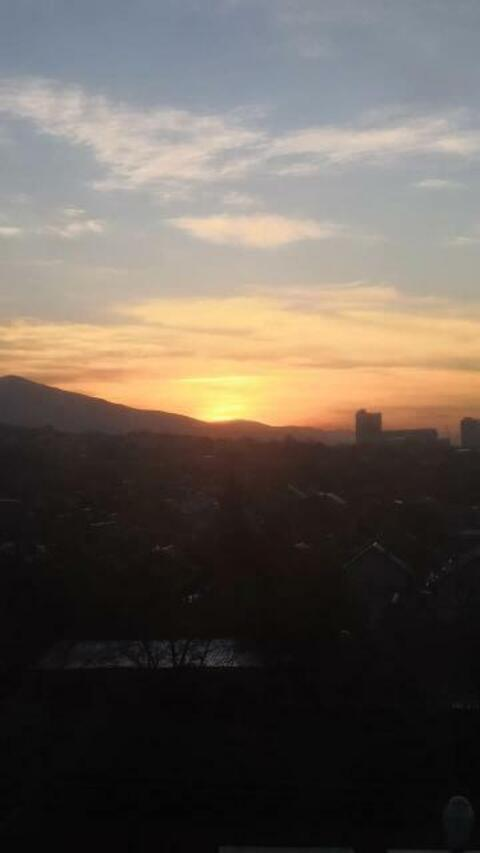 Video leaks u191554985