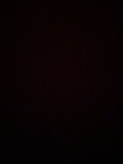 Video leaks u192898156