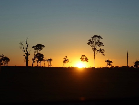 Video leaks u209561157