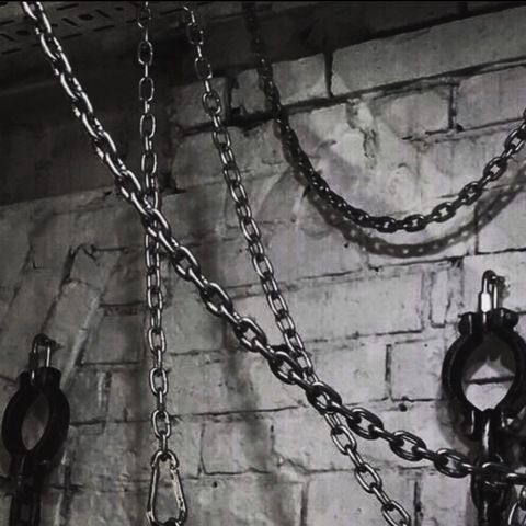 Video leaks u217336839