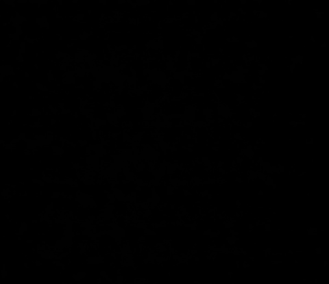Video leaks u22596410