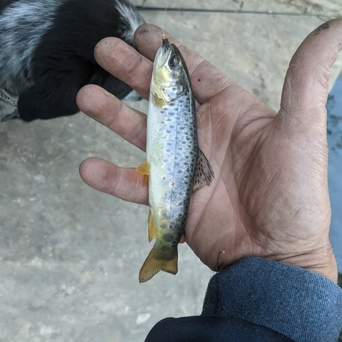 Video leaks u235811501