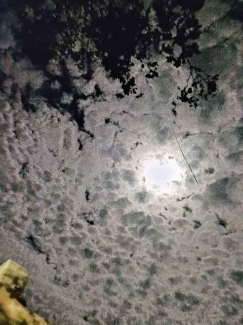 Video leaks u240444184