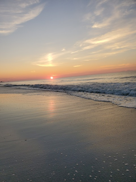 Video leaks u248674565