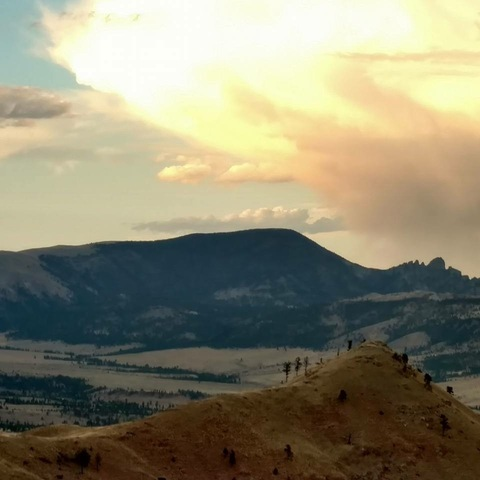 Video leaks u248880412