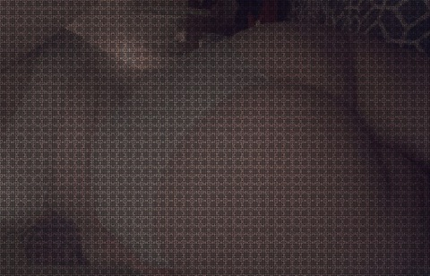 Video leaks u250477336