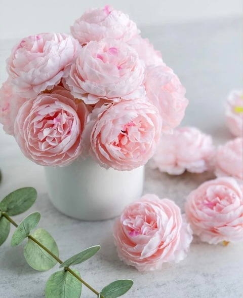 Video leaks u253201907