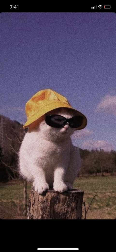 Video leaks u27820252